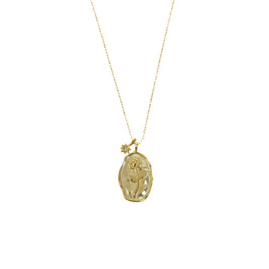 Colgante Plata s925 Rosa Elipse