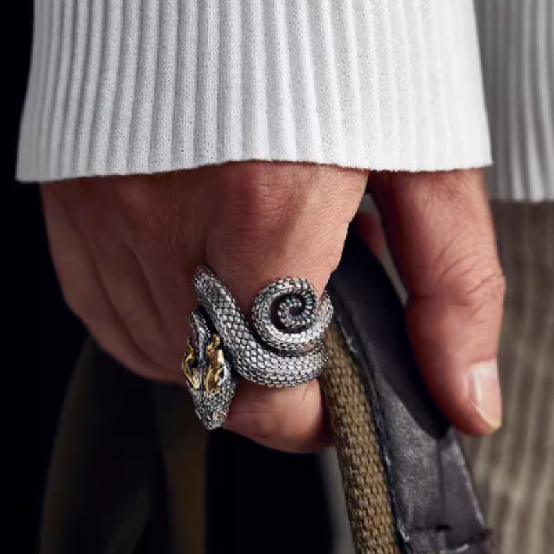 Anillo de Diseño Dragón Plata S925
